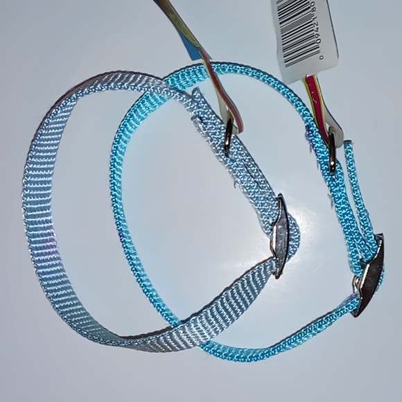 2 Medium Dog Collars - Picture 3 of 3